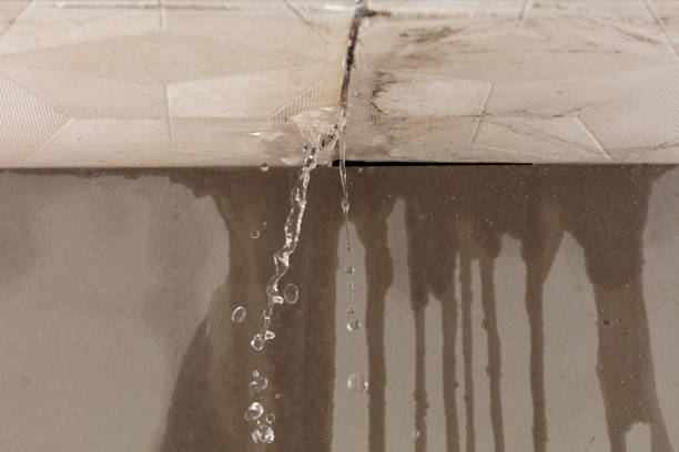 Professional Commercial Water Damage Restoration technician working in Eldorado, IL